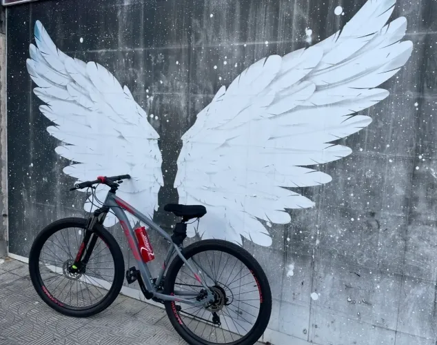 Bicicleta Oggi Hacker quadro 17 aro 29