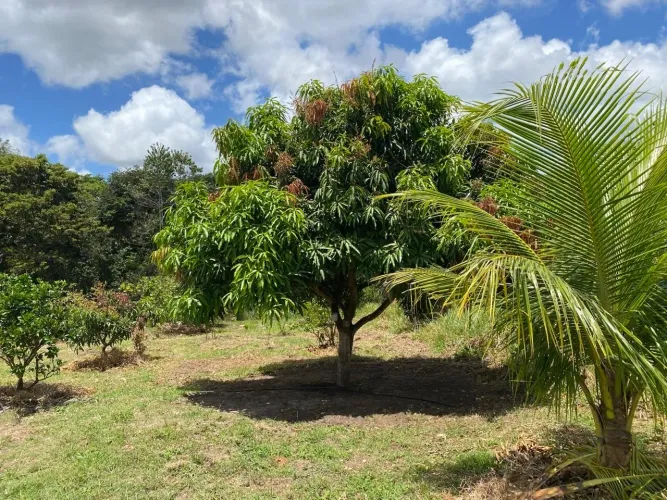 VENDE-SE TERRENO HARAS RESIDENCE! MELHOR LOCALIZAÇÃO DO CONDOMÍNIO 