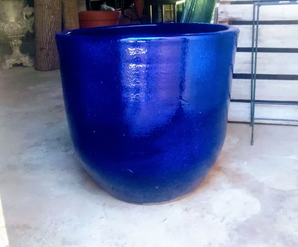 Vasos