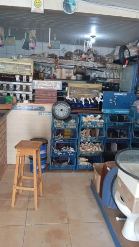 Material de construção