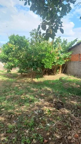 Terreno