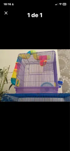 Gaiola para hamster
