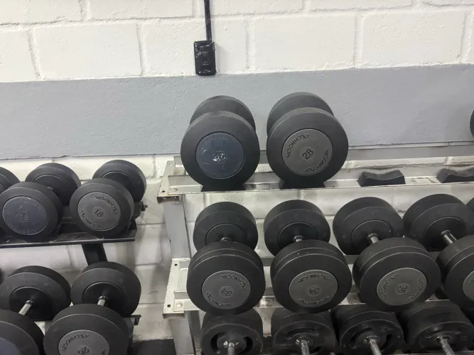 Dumbles technogym 