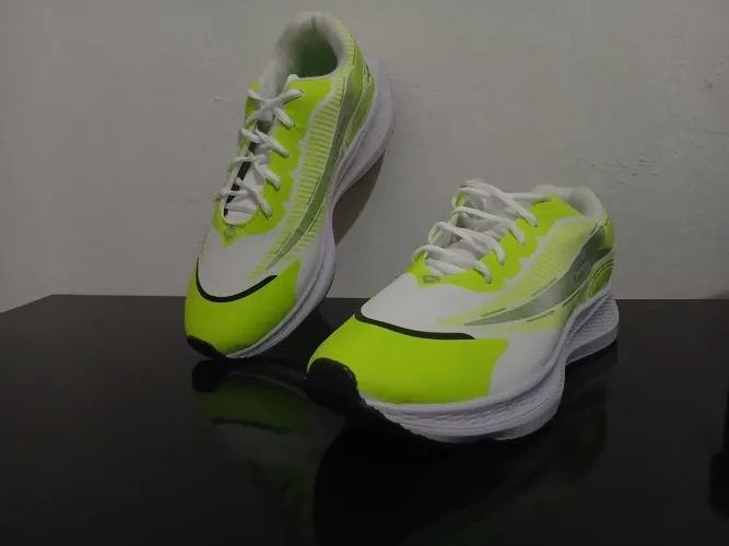 Tenis