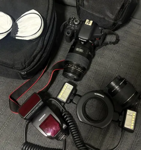 Kit fotográfico: canon t6i, lente macro 100mm, lente 18-55mm, flash twim