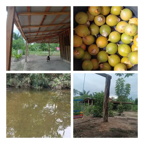 Chácara a venda 