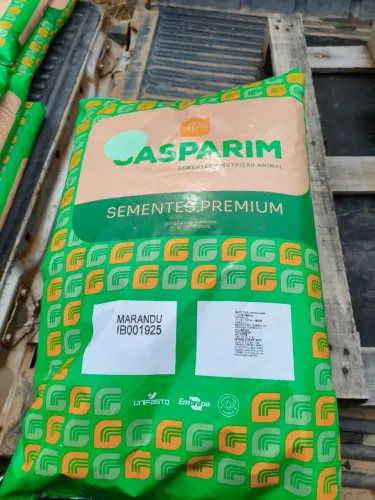 Sementes Gasparim Premium 10kg