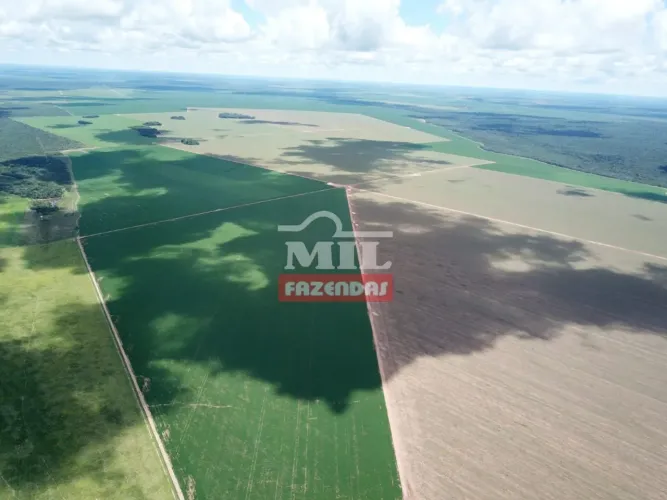 Fazendão em Canarana-MT. (7.830 Hectares)