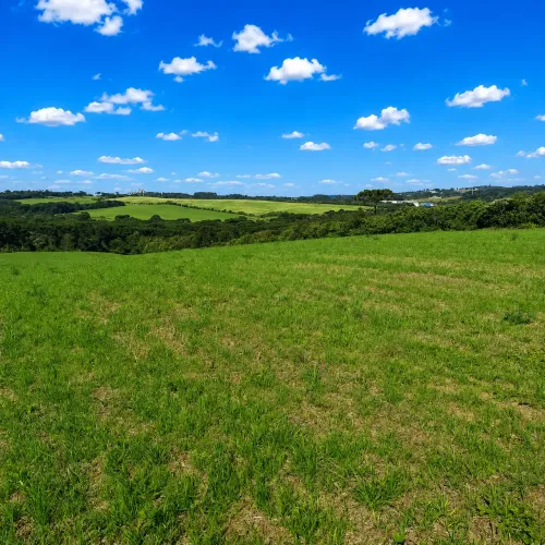 Lapa, Chácara 7 Hectares Plana, Cultivo, à 5km Centro da Cidade, à venda, Área Rural, PR