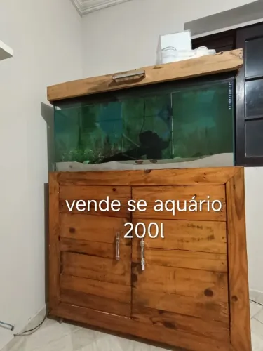 Aquário 200l