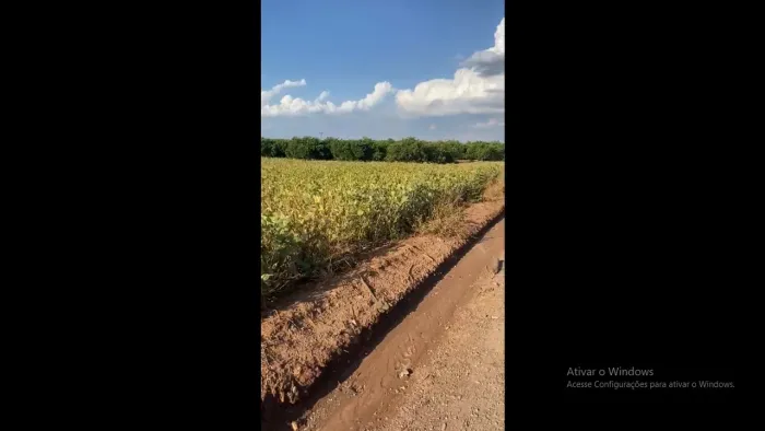 Sítio de 01 alqueires 70 mts de frente.. Fica no Santa Rosa próximo Ajinomoto. R$650mil