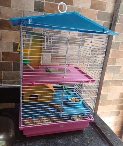 Gaiola Completa para Hamster 3 Andares + Acessórios