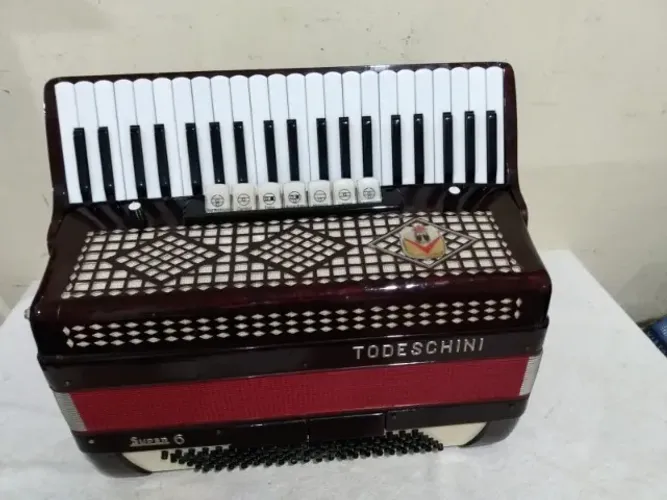 Acordeon Todeschini Super 6 Com Captação Ativa