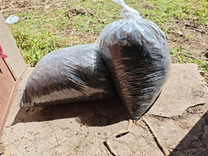 Adubo 100% orgânico 