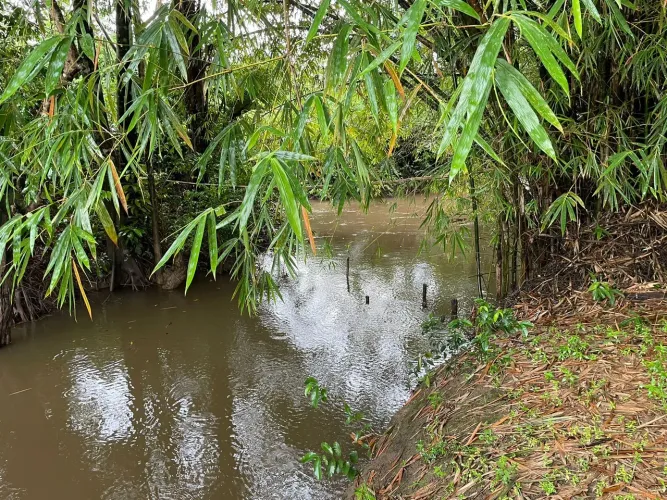Excelente Localização Propriedade 350 Ha