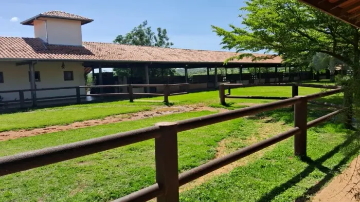 Fazenda Leiteira Esplendorosa, com 750 Hectares, Localizada na Região De Curvelo/MG