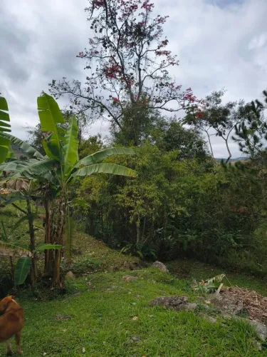 Serviço gerais 