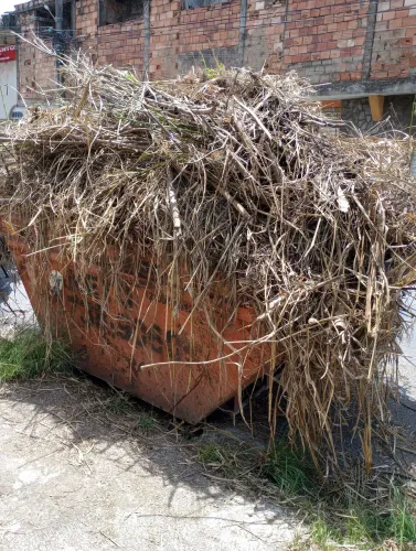 Evite multas. Jardineiro