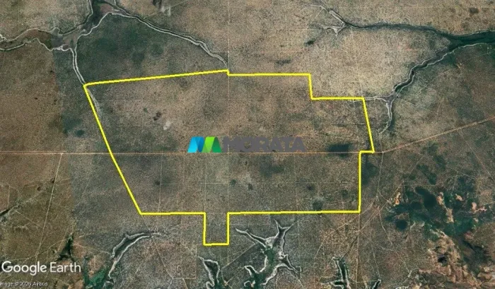 FAZENDA À VENDA - 2.800 HECTARES - JANUÁRIA (MG)