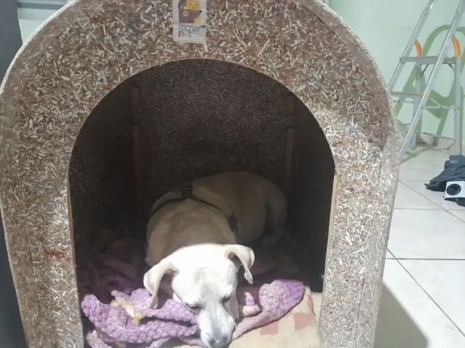 Casinha ecológica tamanho 04