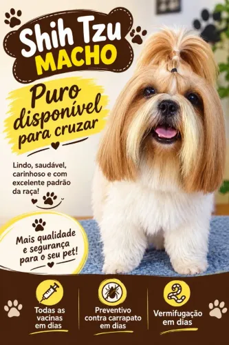Pet macho pra cobertura