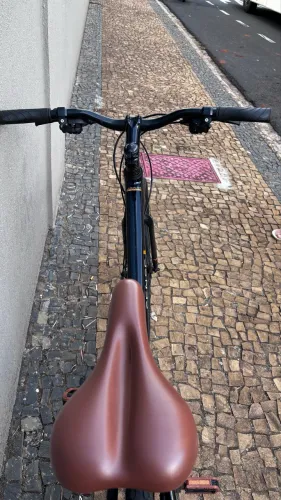 Bicicleta sense