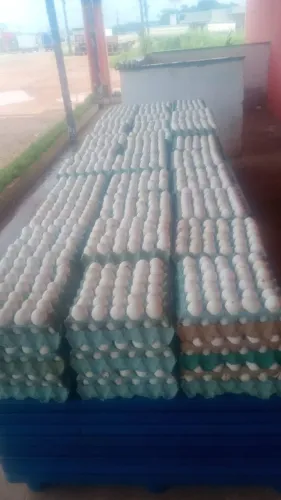 Vende-se ovo regional $15 reais com 30 ovos