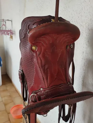 Cela modelo cutuca 