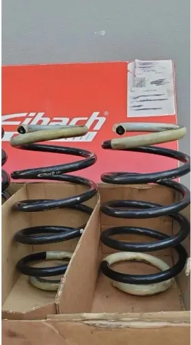 MOLAS EIBACH PRO-KIT JETTA