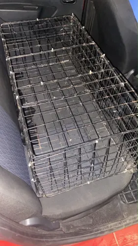 Gaiola para animais
