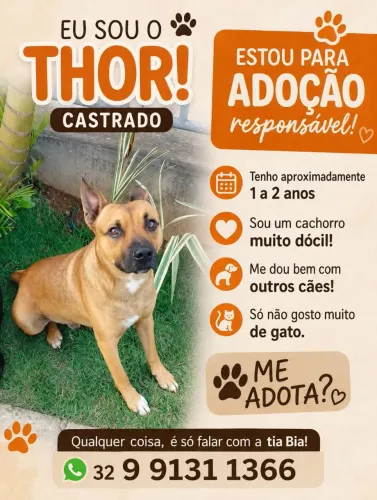 Doação