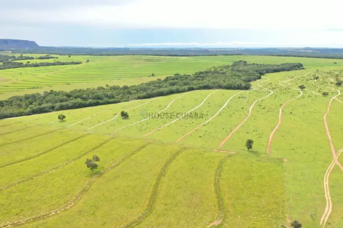 VENDO FAZENDA NA REGIÃO DE GUIRATINGA MT
