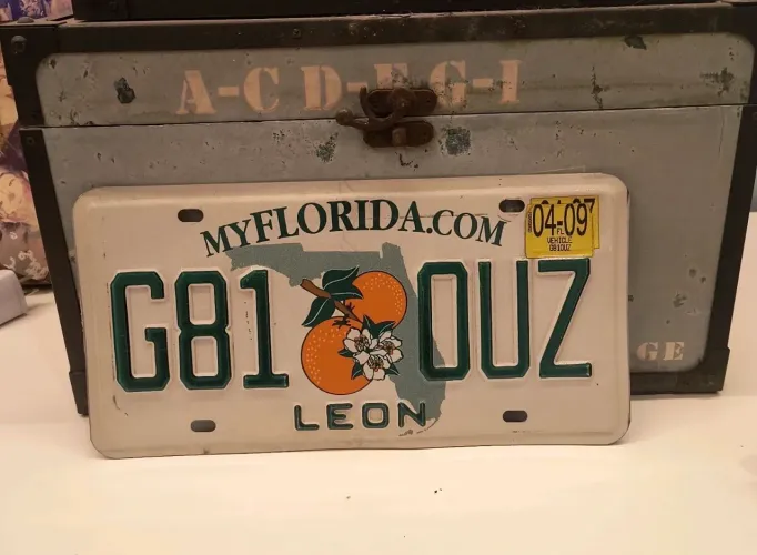 Placa de carro Florida Leon