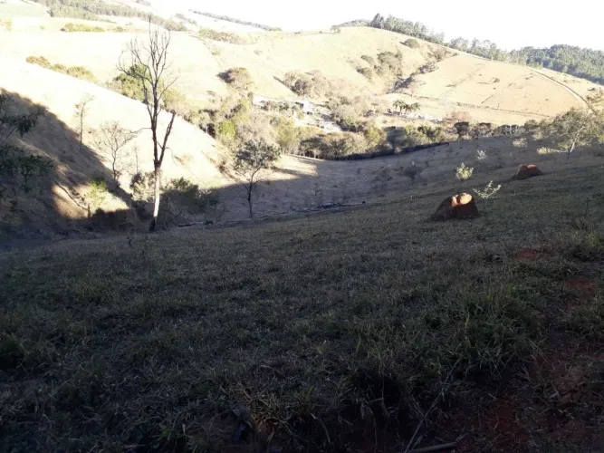 área - Pinhalzinho - Pinhalzinho