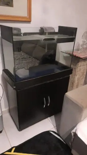 Aquário
