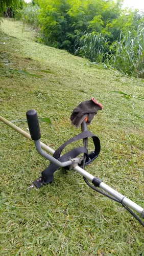 Trabalho de roçadas .