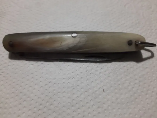 Caniveti de origem Italiana - Cabo de Osso. Antigo.