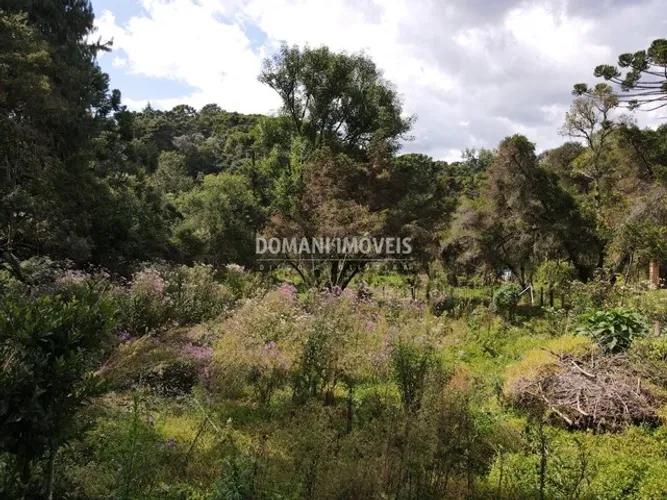 Belo Lote de Terreno Plano à Venda na Região do Jaguaribe - Campos do Jordão/SP
