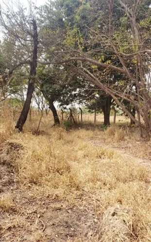 Terreno à venda - Valparaíso - GO