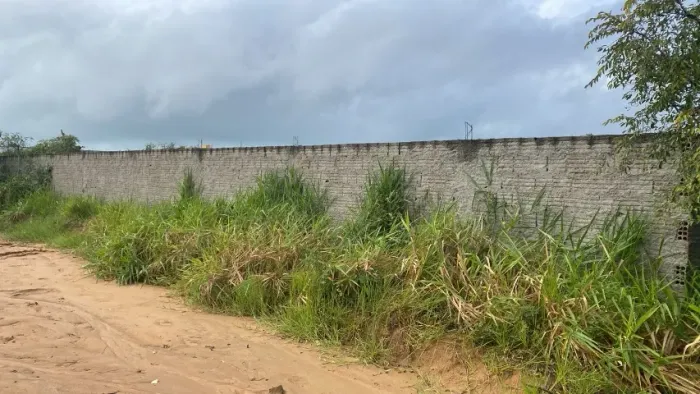 4 lotes 10x20 em Carapibus, a poucos metros da Cotorno de Jacumã