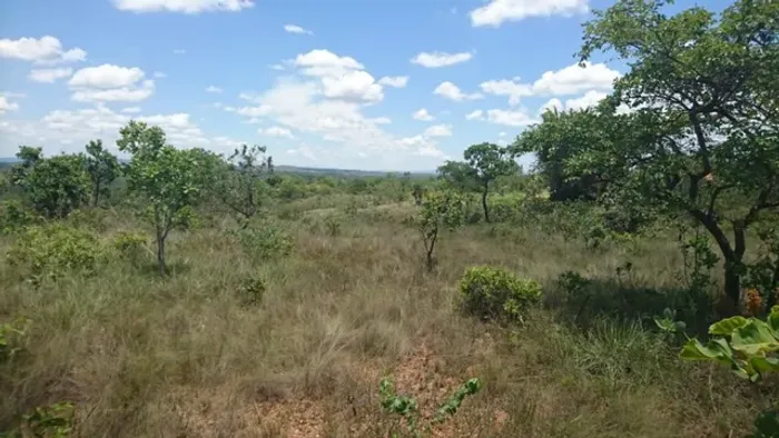 Chácara de 20.000m², plana a menos de 2.3 km da MG10, aceita carro como parte de pagamento