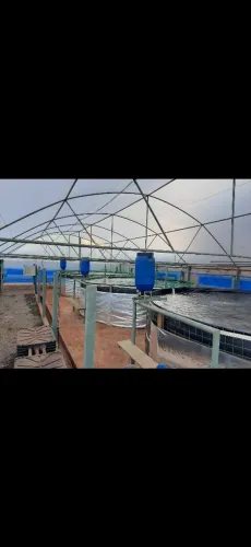 Tanques elevados para criação de peixes (piscicultura)