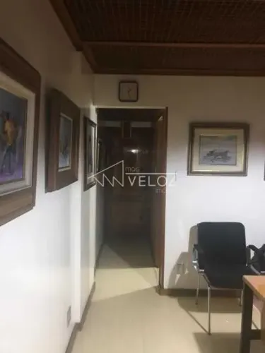 Apartamento : Padrão / Residencial / Centro