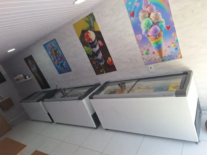 Freezer 505 LT 3.700,00 cada uma