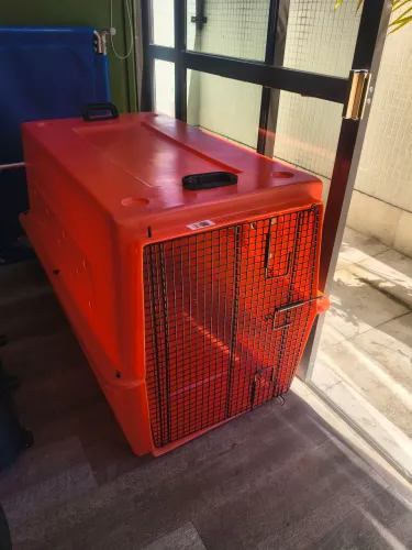 Caixa de transporte de animais 