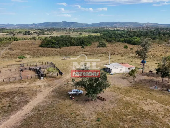 Fazenda 40 Alqueires (194 Hectares) Araguapaz - Go