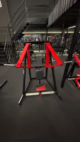 Remada Costas Equipamento Musculação 