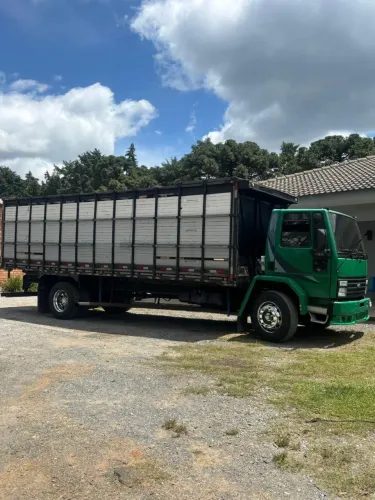 Ford cargo boiadeiro 