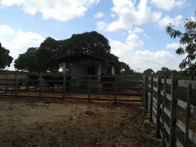 Granja/sítio/fazenda com 14,5 há com escritura pública duas casas. Poço.Curral.  Piscina