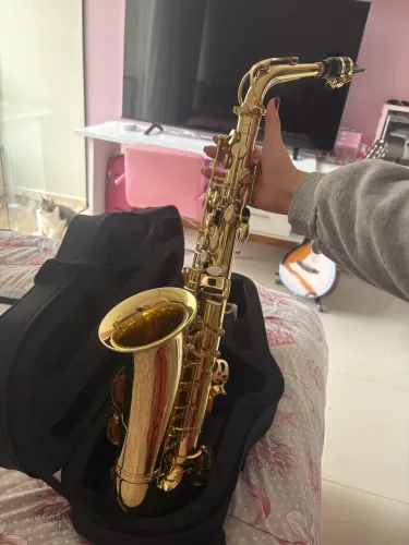 Sax Harmonics + capa + palheta 